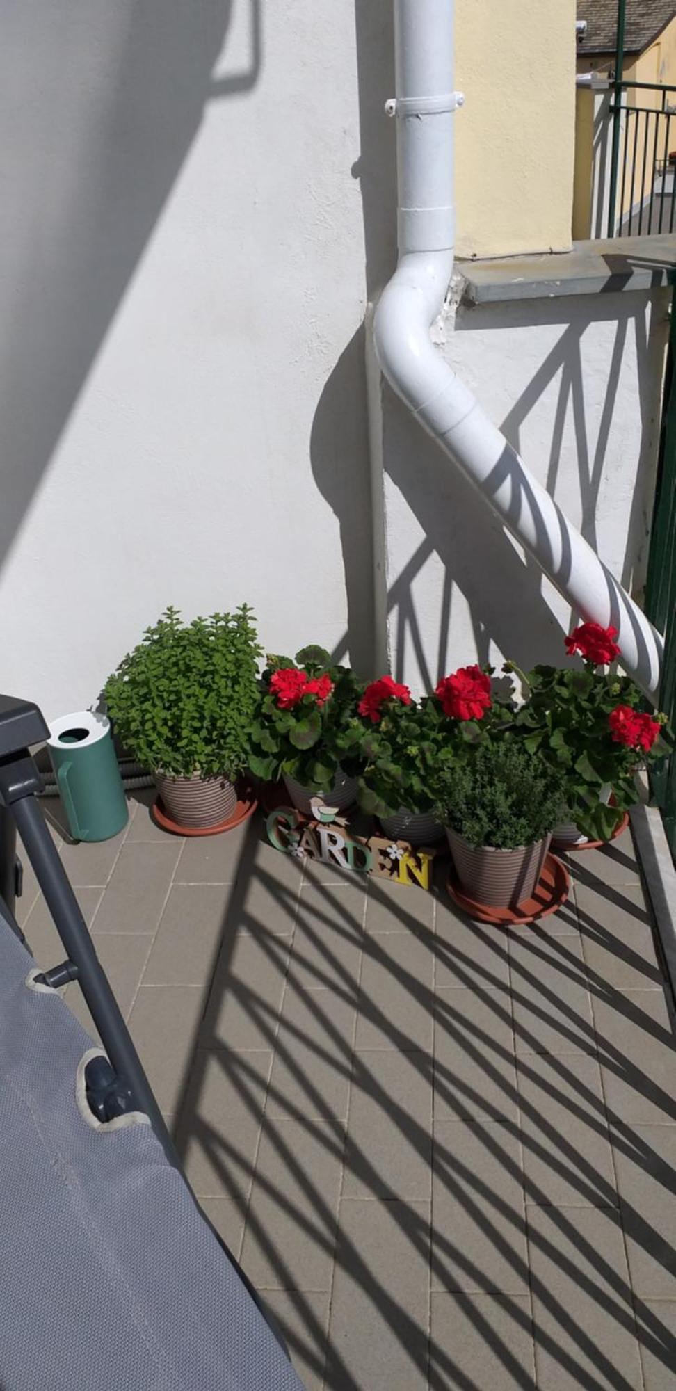 Aa Ciasea Duu Pintuu Apartment Riomaggiore Bagian luar foto
